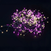 720 LED Cluster Lights - available in 8 Colours - Christmas Factory