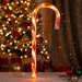 Battery Operated 20 LED Candy Cane 75cm - Christmas Factory