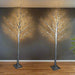 LED Dual Colour Birch Tree (180cm) - Christmas Factory