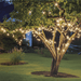 Solar 800 LED String Lights 36m - available in 3 Colours - Christmas Factory