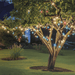 Solar 800 LED String Lights 36m - available in 3 Colours - Christmas Factory